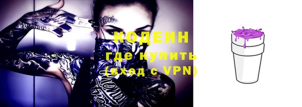 ГАЛЛЮЦИНОГЕННЫЕ ГРИБЫ Покачи