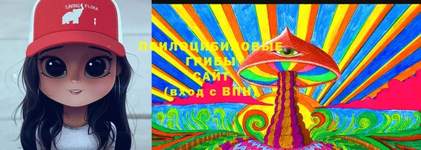 ГАЛЛЮЦИНОГЕННЫЕ ГРИБЫ Покачи
